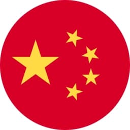 صيني